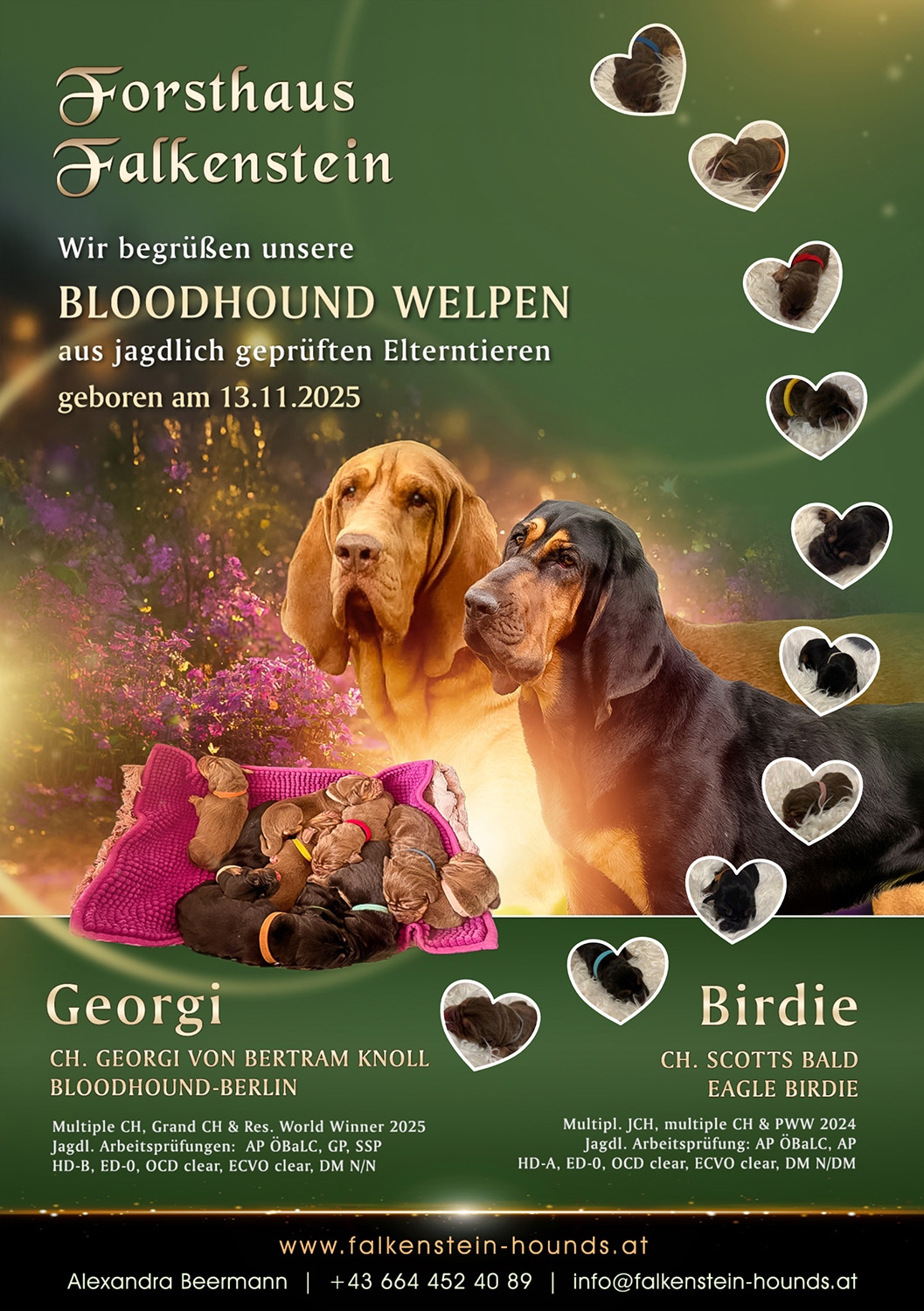 Birdie & Georgi’s Welpen sind da!